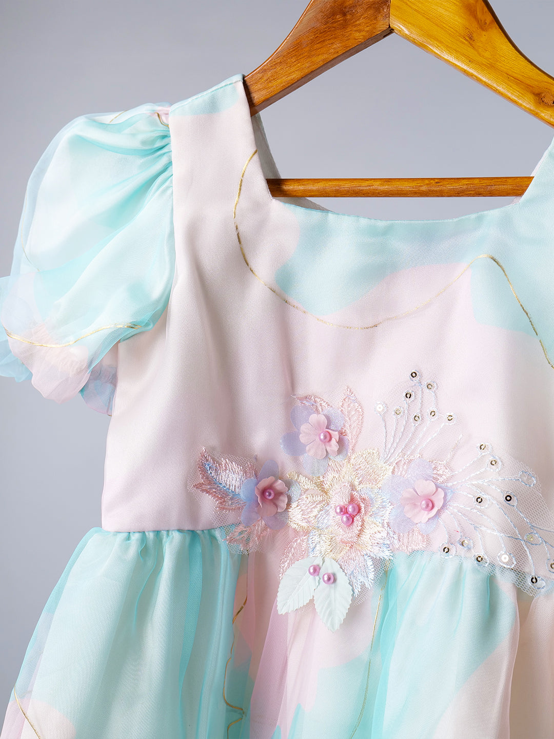 Blue & Pink Organza Dress