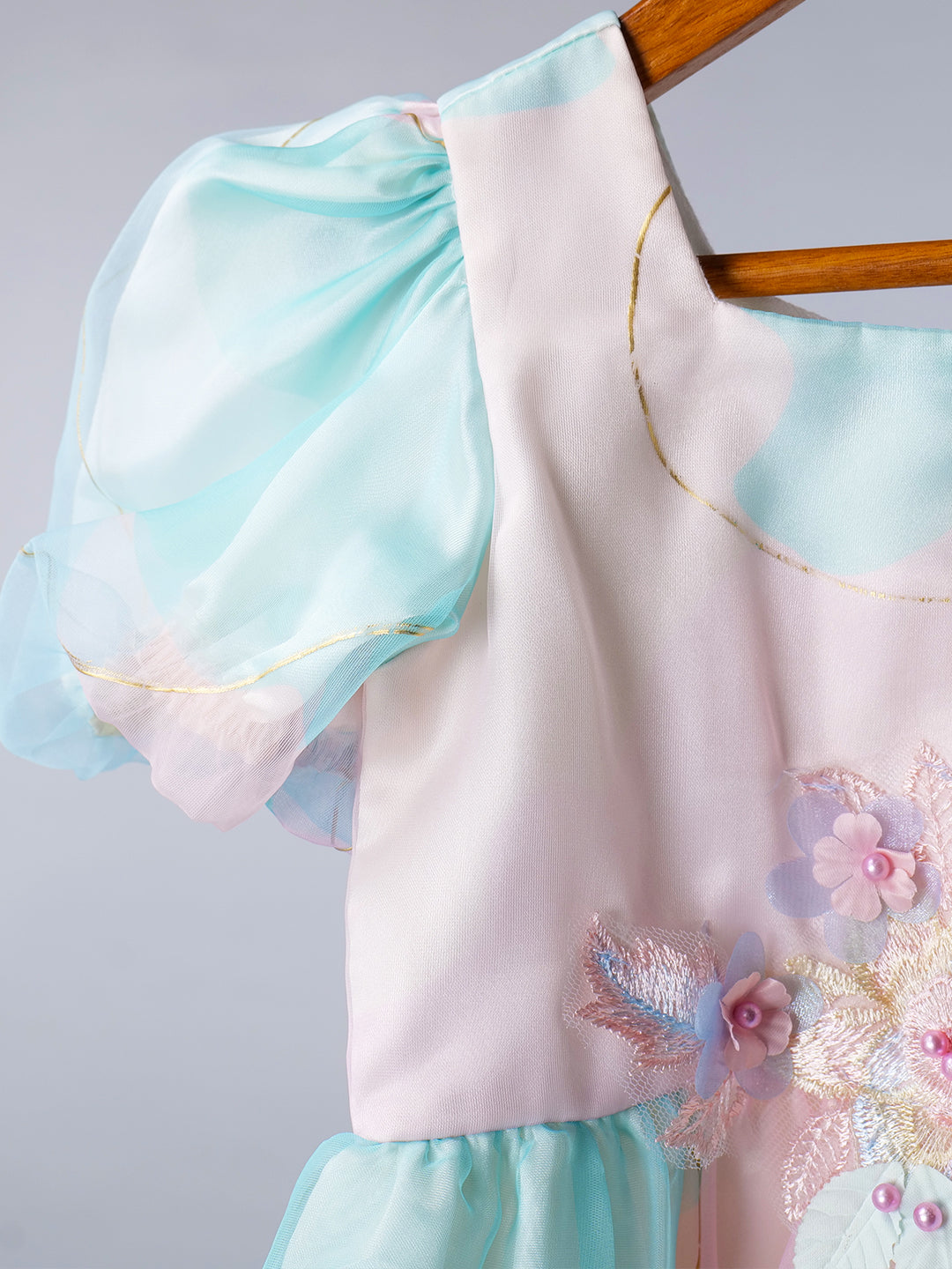 Blue & Pink Organza Dress